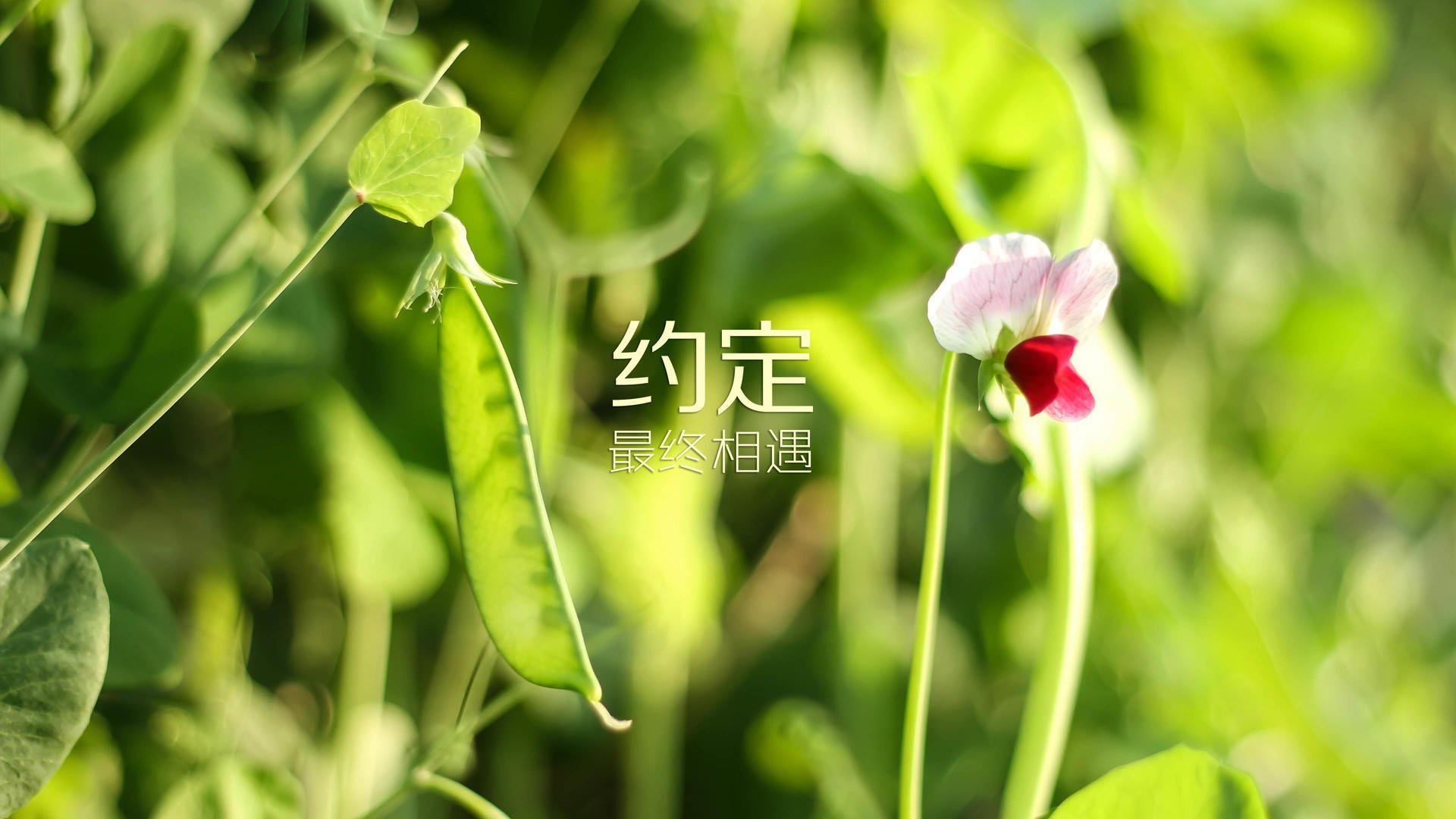 潜水装备的名称有哪些呢视频（潜水装备知识大全）